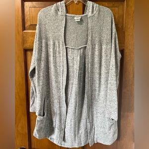 Day trip grey sweater with hood